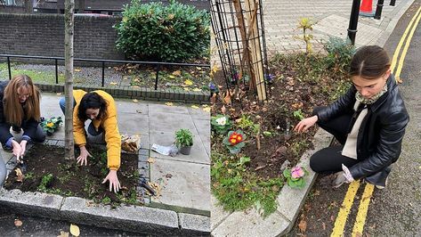 Why guerrilla gardening is solarpunk AF Solarpunk Garden, Gorilla Gardening, Guerilla Gardening, Solar Punk, Guerrilla Gardening, Environmentally Friendly Living, Community Garden, Public Place, Food Forest