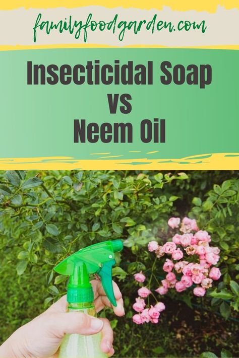 Neem Oil Recipes, Homemade Insecticide, Home Pest Control, Neem Soap, Organic Insecticide, Pest Control Plants, Mice Repellent, Diy Pest Control, Plant Pests