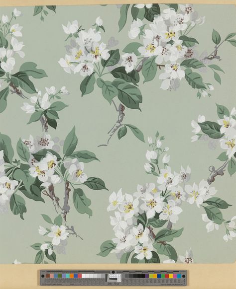 Wallpaper | United Wallpapers, Inc. (Manufacturer) | 2000.535 -- Historic New England Vinyl Mini Blinds, Pink Daisies, Beige And Pink, Historic New England, Cottage Shabby Chic, Blinds Design, Green Ground, Hooked Rug, Style Cottage