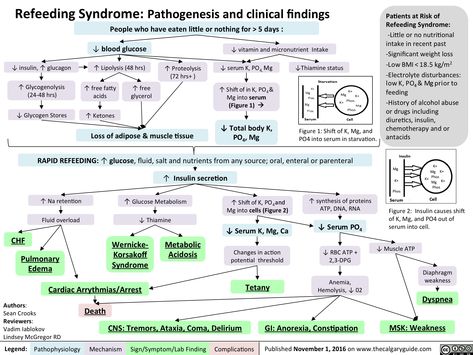 Refeeding Syndrome: Pathogenesis and clinical findings | Calgary Guide Refeeding Syndrome, Nutrition Notes, Medicine School, Nursing Labs, Medical Things, Basic Anatomy, Clinical Nutrition, Mcat Study, Basic Anatomy And Physiology