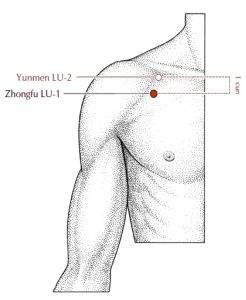 Acupuncture Points Chart, Increase Lung Capacity, Lung Health, Weak Immune System, Natural Face Cleanser, Lungs Health, Full Life, Lack Of Energy, Health And Fitness Articles