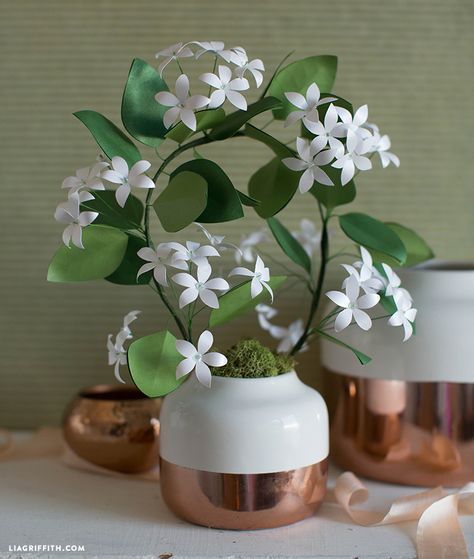 Make this gorgeous potted paper jasmine plant by Lia Griffith using our metallic text weight paper! Simple to craft with stunning results. Paper Jasmine Flower, Jasmine Flower Garland, Paper Flower Wall Hanging, Jasmine Plant, Flower Wall Hanging, Simple Wall Decor, Paper Wall Hanging, Paper Plants, Beautiful Flowers Photography