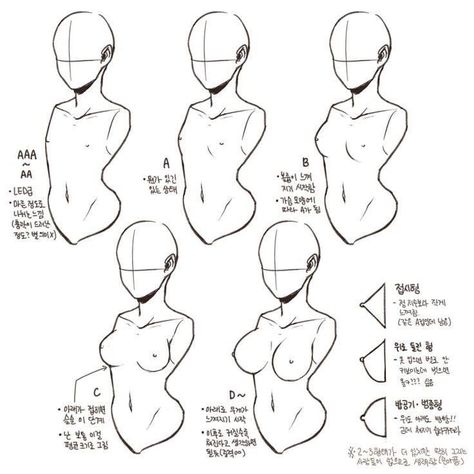 Body Type Drawing, Female Anatomy Reference, Drawing Female Body, Comic Book Art, Body Drawing Tutorial, Human Anatomy Art, Anatomy Sketches, Body Reference Drawing, Healthy Routine