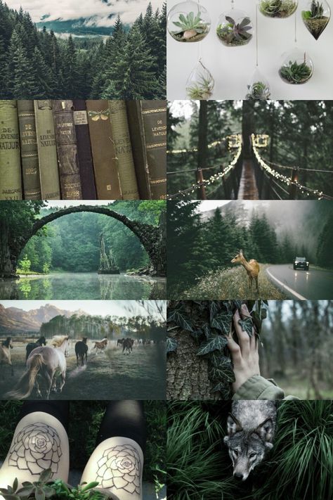 Green Witch Aesthetic, Slytherin Aesthetic, Magic Aesthetic, 수채화 그림, Witch Aesthetic, Foto Art, Green Witch, Fantasy Aesthetic, Aesthetic Collage