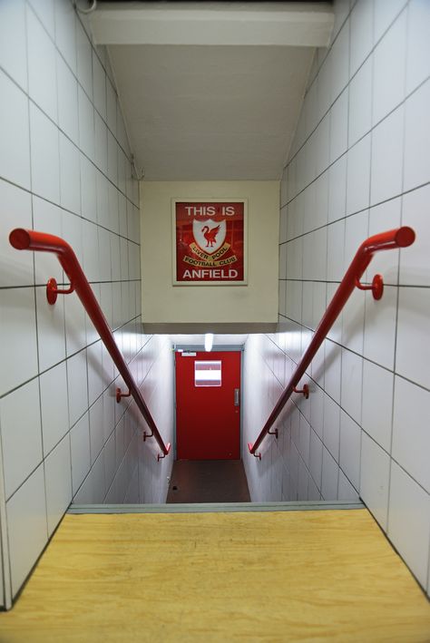 A few photographs from our recent tour of Liverpool FC's stadium at Anfield.  The player's tunnel with the pitch at the far end, and the famous "This is Anfield" sign. The sign was placed in this position by the legendary Bill Shankly. Liverpool Fc Stadium, Liverpool Stadium, Bill Shankly, Liverpool Football Club Wallpapers, Stadium Wallpaper, Liverpool Anfield, Bayer Munich, Juergen Klopp, Liverpool Soccer