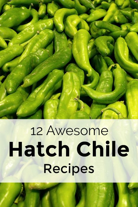 12 Awesome Hatch Chile Recipes - Recipe Round Up Whole Green Chili Recipes, Hatch Green Chili Chicken, Hatch Green Chili Recipes, Hatch Pepper Recipes, Hatch Green Chile Recipes, Hatch Chilis, Hatch Chili Peppers, Hatch Chile Salsa, Hatch Green Chili Recipe