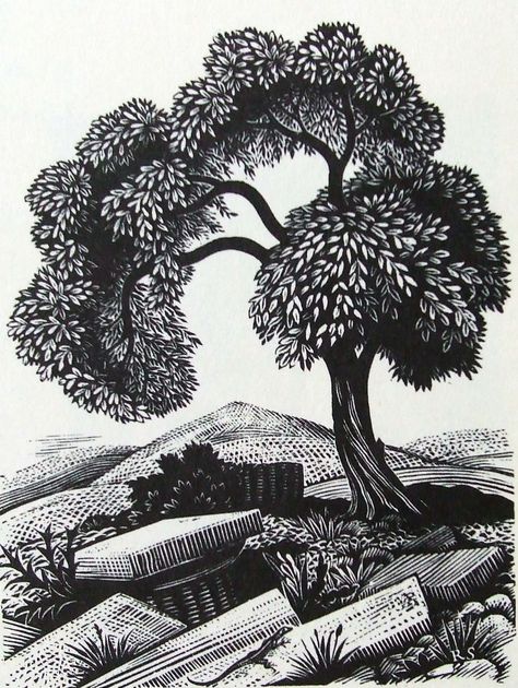 Woodcut Landscape, Tree Engraving, Linocut Artists, Woodcut Printing, Iris Murdoch, Woodcut Art, Scratchboard Art, Linocut Printmaking, Lino Art