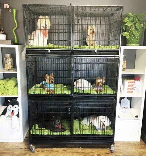 Dog Grooming Salon Decor, Grooming Salons, Pet Grooming Business, Vet Life, Pet Grooming Salon, Grooming Business, Dog Grooming Shop, Doggy Daycare, Dog Spa