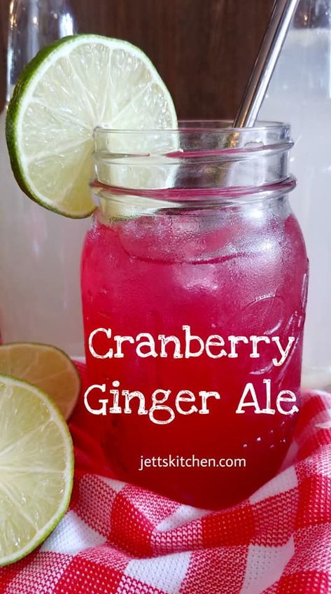 Cranberry Ginger Ale Non-Alcoholic Beverage - Jett's Kitchen Ginger Ale Drinks, Cranberry Ginger Ale, Ginger Ale Recipe, Cranberry Drinks, Alcohol Free Drinks, Drink Recipes Nonalcoholic, Mixed Drinks Alcohol, Vegetable Drinks, Punch Recipes