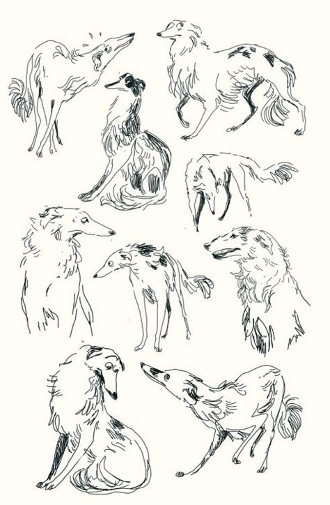 Catherine Rayner Illustrations, Dog Legs Drawing, Dog Stretching Drawing, Dog Snarling Drawing, Growling Dog Drawing, Sitting Dog Drawing Reference, Dog Drawing Aesthetic, Dog Sitting Drawing, Dog Drawing Reference