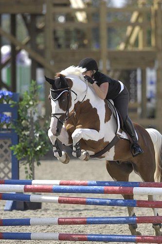 Hopefully one day woody and i can do this! Cheval Pie, Jumping Pictures, Painting Horse, Equestrian Helmet, Paint Horse, English Riding, Riding Hats, Hunter Jumper, Equestrian Sports