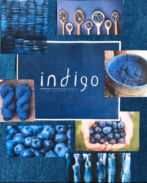 Indigo Colour Palette, Indigo Mood Board, Indigo Blue Aesthetic, Indigo Core, Indigo Color Palette, Indigo Aesthetic, Indigo Furniture, Indigo Flower, Color Plan