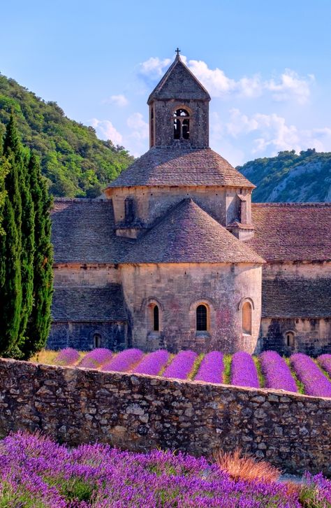 Summer in Provence is bursting with colour and fragrance. The vibrant lavender fields are a dream and have become an iconic symbol of this region. Near the village of Gordes, you can find a spectacular scenery at the Abbey of Sénanque, a gem of Romanesque architecture. Whether you are a photographer or not, in front of this historical abbey lies probably one of the most beautiful bright purple lavender fields, that will definitely fascinate you. Southern Travel, World Most Beautiful Place, Southern Europe, Sainte Marie, The French Riviera, Garden Painting, Provence France, Landscape Pictures, Travel Packages