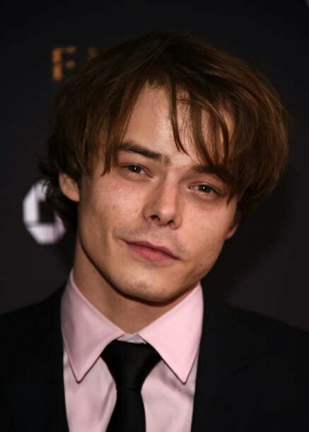 Stranger Things Jonathan, Ugly Photos, Charlie Heaton, Brown Hair Men, Jonathan Byers, Freddy Fazbear, It Movie Cast, Smash Book, Role Models