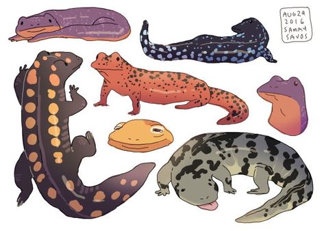 Cute Salamander Drawing, Salamander Illustration, Sammy Savos, Lizard Illustration, Salamanders, Art Manga, Poses References, Animal Sketches, Arte Animal