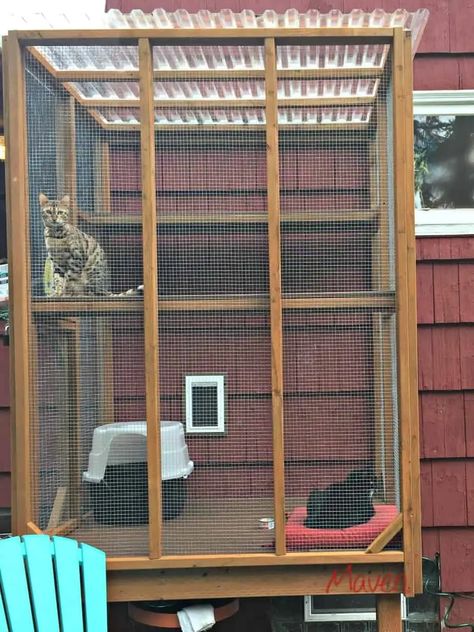 Best DIY Hidden Cat Litter Box Ideas You Need to Know Of - OliveKnows Diy Dog Run, Litter Box Ideas, Diy Cat Enclosure, Cat Fence, Cat Patio, Outdoor Cat Enclosure, Outdoor Cat House, Cat Playground, Cat Cages