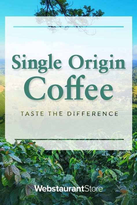 Coffee Trends, Coffee Shop Supplies, Coffee Labels, Trendy Drinks, Coffee Board, Coffee Label, Different Coffees, Single Origin Coffee, Single Origin