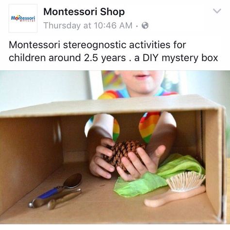 Sense Of Touch Activities, Touch Activities, September Preschool Themes, Toddler Montessori Activities, Sense Organs, September Preschool, Kindergarten Stem, Senses Activities, Nursery Activities