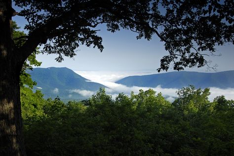 "Tucked away in the mountains of West Virginia, just off of US-64 lies Lewisburg, West Virginia, a town of charm and adventure that boasts an affinity for music and the outdoors." Hiking Virginia, Waltons Mountain Virginia, Virginia Hikes, Hiking Near Williamsburg Va, Steamboat Springs Colorado, River Trip, Honeymoon Spots, Appalachian Mountains, Mountain Town