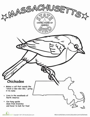 First Grade Animals Life Science Worksheets: Massachusetts State Bird Bird Worksheet, Third Grade Geography, Holiday Coloring Sheets, State Project, Baby Quilt Patterns Easy, Mississippi Travel, State Of Mississippi, Bird Coloring, Homeschool Geography