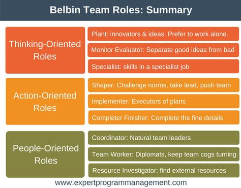 Belbin Team Roles- Summary Team Roles Group Work, Belbin Team Roles, Group Roles, Team Performance, Development Plan, Team Success, Flight Training, Program Management, Business Models