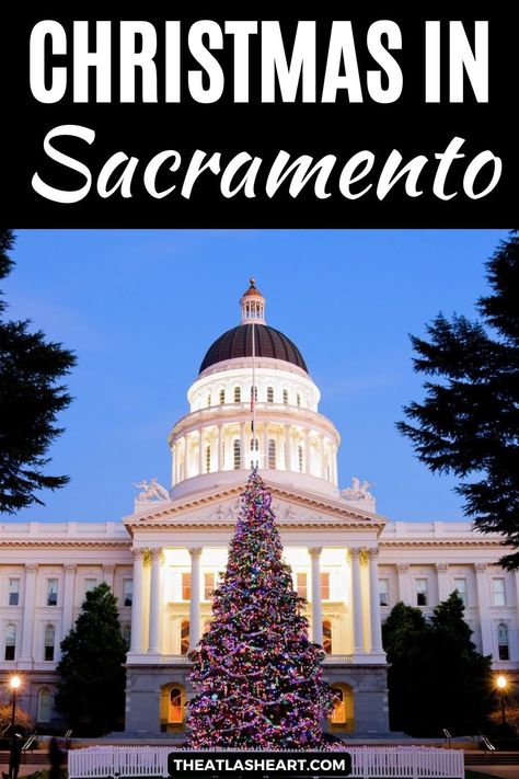 A view of the Capitol Building in the early evening during Christmas in Sacramento, with an illuminated Christmas tree in the foreground, with the text overlay, "Christmas in Sacramento." Things To Fo, Things To Do For Christmas, Old Sacramento, California State Capitol, California Christmas, Christmas Things To Do, Boat Parade, Sacramento River, Best Christmas Lights