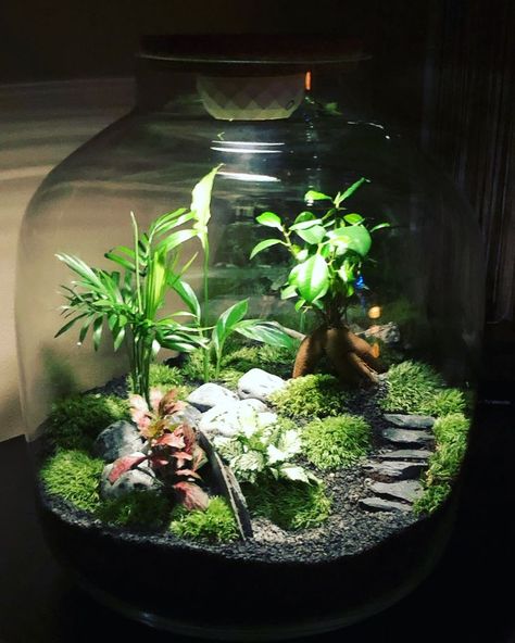 Art Anime Tattoo, Nails Animation, Anime Tattoo Designs, Closed Terrarium Plants, Closed Terrarium, Build A Terrarium, Wall Art Anime, Plant In Glass, Diy Succulent Terrarium