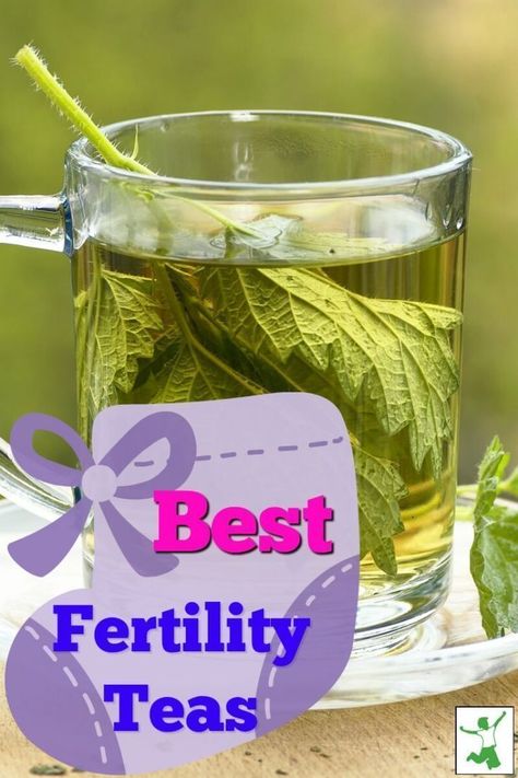 Fertility Herbs, Herbs For Fertility, Fertility Support, Fertility Tea, Fertility Boosters, Boost Fertility, Tea Herbs, Fertility Supplements, Best Herbal Tea