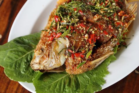 Great Thai Grilled Fish and Shellfish Recipes Fish Asian Recipes, Grill Fish Recipes, Fried Snapper, Country Fried Pork Chops, Seafood Main Course, Grill Fish, Thai Fish, Greek Kitchen, Grilled Fish Recipes