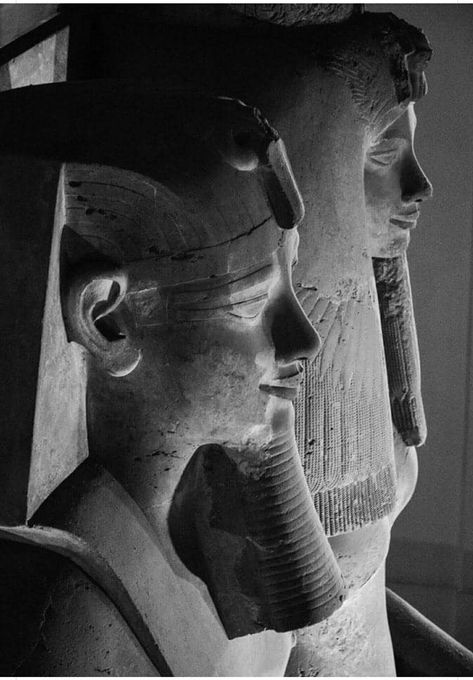 Egypt Black And White, Queen Tiye, Egyptian Aesthetic, Egyptian Civilization, Egypt Aesthetic, Ancient Egyptian Artifacts, The Bible Movie, Amenhotep Iii, Egyptian Museum