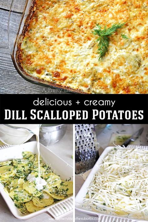 These Dill Scalloped Potatoes are creamy, cheesy and SO delicious!  The addition of fresh dill makes these potatoes incredible! Creamy Dill Potatoes, Dill Potatoes, Dill Recipes, Ham Dinner, Healty Dinner, Cheesy Mashed Potatoes, Scalloped Potato Recipes, Easter Dinner Recipes, Potato Sides