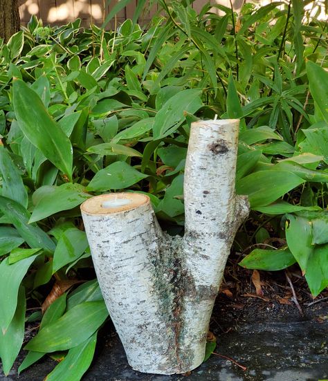 Birch bark decor