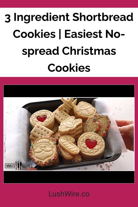 3 Ingredient Shortbread Cookies | Easiest No-spread Christmas Cookies No Spread Cookie Recipe, Christmas Shortbread Cookies Recipes, Christmas Short Bread Cookies, No Spread Shortbread Cookies, Three Ingredient Shortbread Cookies, Easy Holiday Cookies 3 Ingredients, Stamped Shortbread Cookies, 3 Ingredient Shortbread Cookies, Easy Shortbread Cookies