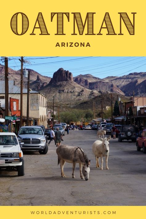 All about the town with more Burrows than people. Oatman | Oatman Arizona | Oatman Arizona Route 66 | Oatman AZ Donkey Wedding, Oatman Az, Oatman Arizona, Arizona Bucket List, Mountains At Night, Los Vegas, Bullhead City, Historic Route 66, Lake Havasu City