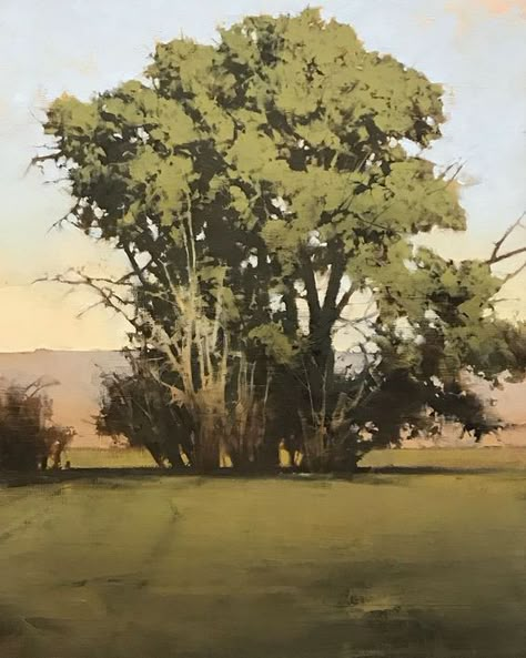 joseph alleman Joseph Alleman, Oil Painting Trees, Oil Painting Gallery, Abstract Tree Painting, John Wilson, Tree Paintings, Landscape Art Painting, Watercolor Landscape Paintings, Environment Art