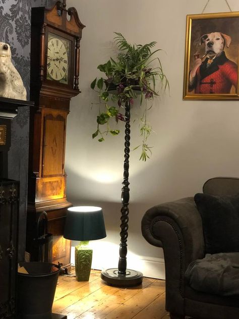 Recycle, Reuse and Repurpose! | Here is a plant stand I made from a old standard lamp I pulled from a skip | Facebook Floor Lamp Repurpose Ideas, Repurposed Floor Lamp, Recycled House, Old Lamps, Standard Lamps, Standing Lamp, Plant Stand, Bird Feeders, Floor Lamp