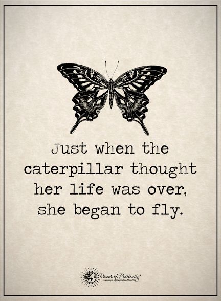 Modern society is a sea of drama, and sometimes, it can seem impossible to escape. Here are 4 signs of emotional distress(and how to heal)... Yoga Kundalini, Butterfly Quotes, Modern Society, A Quote, Beautiful Quotes, The Words, Caterpillar, Great Quotes, Beautiful Words