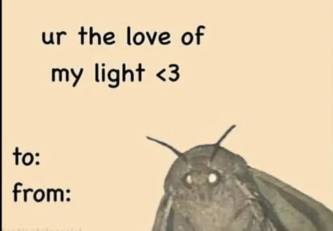 Silly Valentine Cards, Chaotic Valentines Cards, Cursed Pickup Lines, Cursed Valentines, Valentines Day Cards Tumblr, Valentines Pick Up Lines, Goofy Valentines, Weird Valentines Cards, Pick Up Line Memes