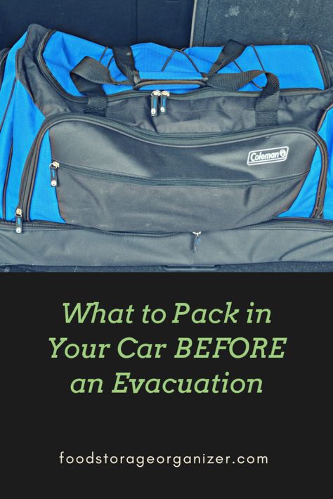 Emergency Preparedness Kit List, Evacuation Checklist, Family Emergency Kit, Evacuation Bag, Car Survival Kits, Evacuation Kit, Emergency Go Bag, Emergency Preparedness Items, Emergency Preparedness Food Storage