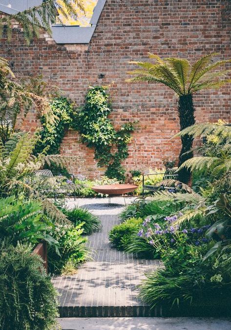 Tom Massey, Jungle Gardens, Small Patio Garden, Tiered Garden, California Garden, London Garden, Gravel Garden, Mediterranean Garden, Garden Landscape Design