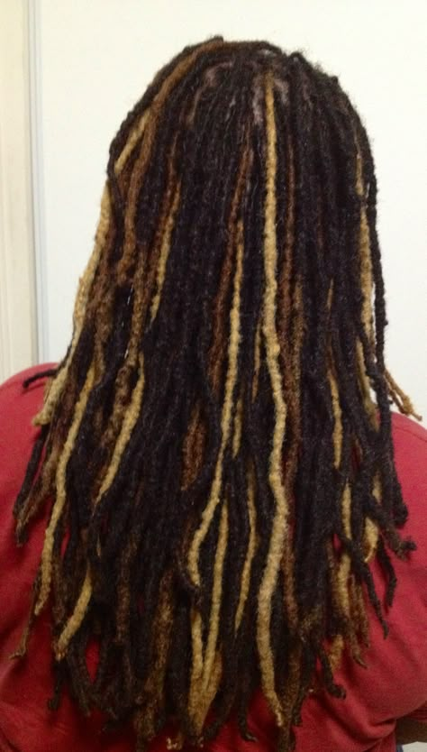 Black Locs With Brown Highlights, Dreads With Highlights, Dread Highlights, Highlights In Locs, Dreadlock Highlights, Highlight Locs, Highlighted Locs, Locs With Blonde Highlights, Highlights Locs