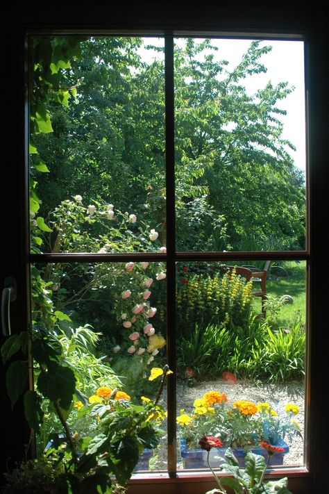 Create a breathtaking view from your window. Use a combination of landscaping elements such as trees, shrubs, and flowers to attract wildlife while providing a tranquil sanctuary for relaxation. Depending on the size of the space and the amount of sun exposure, you can create a custom design to fit your needs. Place a few planters with colourful, lush flowers around the area for a splash of life and texture. With careful consideration and mindful design, your garden can become a personal oasis. Garden Design Inspiration, Garden Seating Area, Fake Window, Through A Window, Garden Design Ideas, Beautiful Windows, Garden Windows, Rooftop Garden, Window View