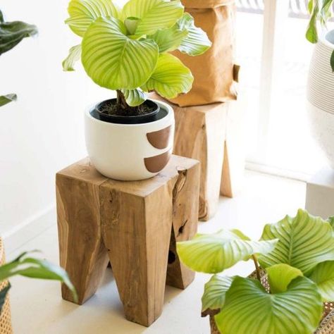 Exclusive Plant Stand Ideas To Introduce Into Your Interior ★ Plant Stool, Plant Stand Ideas, Rustic Plant Stand, Wall Decor Amazon, Pallet Planter Box, Heart Touching Quotes, Outside Plants, Modern Plant Stand, Wooden Plant Stands