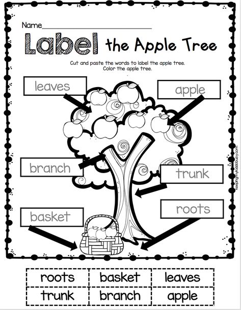 LABELING - Kindergarten Label the Apple Tree worksheet - literacy center for back to school in Spetember #kindergarten #backtoschool #labeling Tree Kindergarten, Fall Prek, Tree Worksheet, Apple Kindergarten, Apple Lessons, Fluency Passages, Apple Unit, Apple Activities, Apple Theme