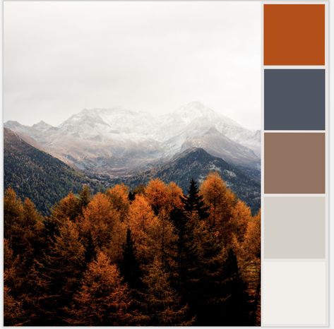 Blue Grey Rust Color Scheme, Blue Orange Tan Color Palette, Modern Mountain Color Palette, Blue Orange Grey Color Palette, Navy Fall Color Palette, Mountain Color Pallete, Hygge Colour Palette, Ski Chalet Color Palette, Natural Color Palette Earth Tones Colour Schemes