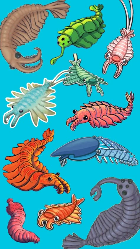 Extinct Animals Art, Paleozoic Era Animals, Cambrian Period Animals, Anomalocaris Tattoo, Cambrian Animals, Precambrian Era, Prehistoric Sea Creatures, Cambrian Era, Cambrian Explosion