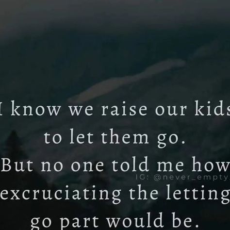 Never Empty Nest by Melissa Neeb on Instagram: "Yes, I knew this was coming.
Yes, I knew it would be hard.

The pain is a bit inexplicable though, isn't it." Empty Nest Quotes Letting Go, Empty Nest Quotes, Quotes Letting Go, 3am Thoughts, Empty Nest, I Knew It, Inspirational Quotes God, Quotes God, Letting Go