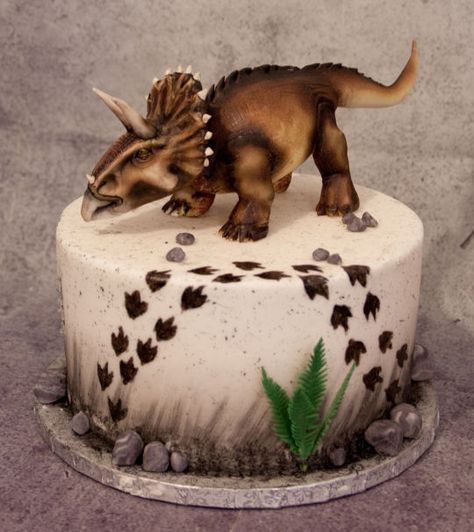 Triceratops cake Triceratops Cake, Dino Cake, Dinosaur Birthday Cakes, Dinosaur Themed Birthday Party, Dinosaur Theme Party, Dinosaur Cake, Dino Birthday, Dino Party, Dinosaur Birthday Party