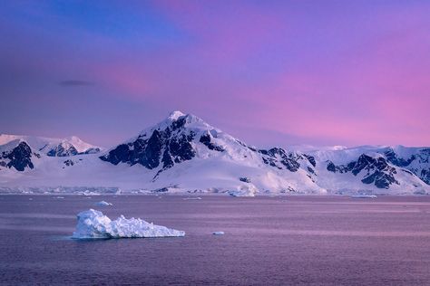 Colorful Sunset in Antarctica Antarctica Aesthetic, Antarctica Landscape, Antarctica Photography, Snowy Wonderland, 2d Platformer, Chinstrap Penguin, Rockhopper Penguin, Penguin Pictures, Adelie Penguin