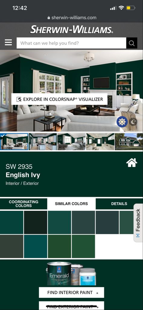 English Ivy Paint Color, English Ivy Sherwin Williams, Sherwin Williams English Ivy, Emerald Front Door, Sherwin Williams Emerald Green, Emerald Green Paint Sherwin Williams, Best Emerald Green Paint Colors, Emerald Green Paint Colors, Green Wall Paint Colors